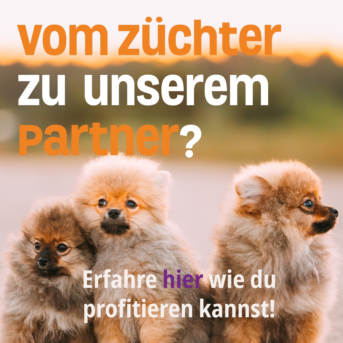Block_z_chter